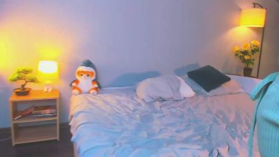 GingerDryer webcam model stream image