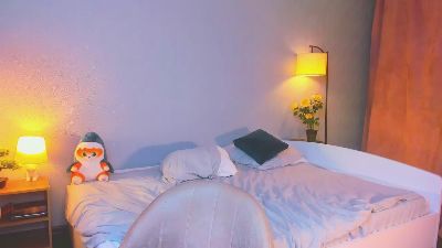 GingerDryer webcam model stream image