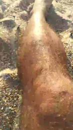 Roccowolf webcam model stream image