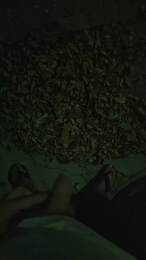 xikitinx1990 webcam model stream image