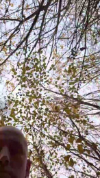 Socke72 webcam model stream image