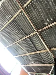 _SARA_69 webcam model stream image