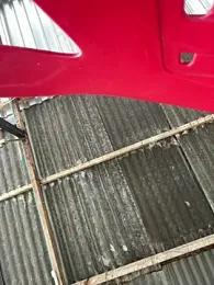 _SARA_69 webcam model stream image