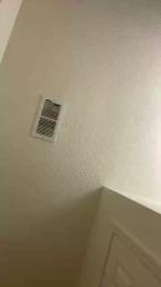 Mrniceguy2434 webcam model stream image