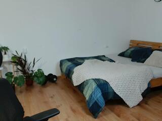 Josh Waller webcam model stream image