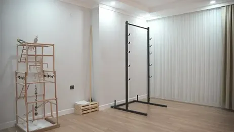 tommyjoyer webcam stripchat model stream image