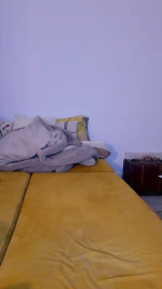 Libellule29 webcam model stream image