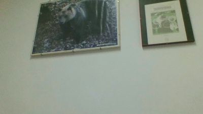 italianinho7 webcam model stream image