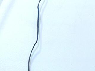 Alizon Cherry webcam model stream image