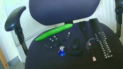 dogscout webcam model stream image