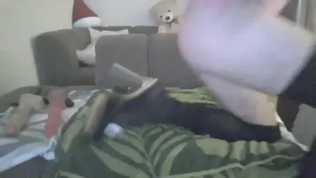 cderikabitche webcam stripchat model stream image