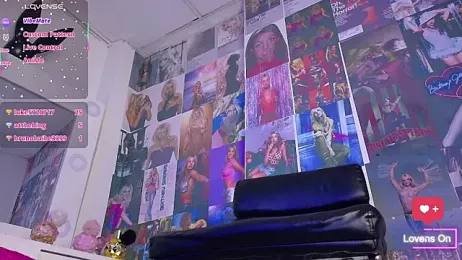 Mistileav webcam model stream image