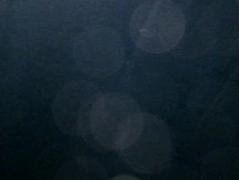 sTrokinG708 webcam stripchat model stream image