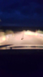 Agataperra35 webcam model stream image