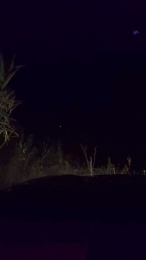 Agataperra35 webcam model stream image