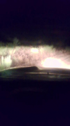 Agataperra35 webcam model stream image