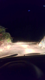 Agataperra35 webcam model stream image