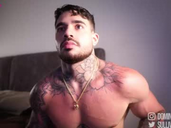 dominic_sullivan1 webcam chaturbate model stream image