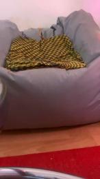 lsd75 webcam model stream image