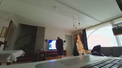 Goflame webcam model stream image