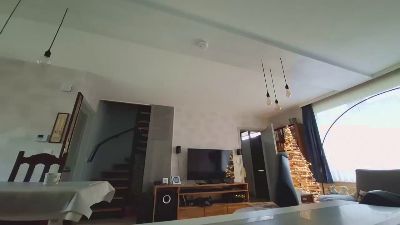 Goflame webcam model stream image