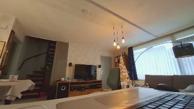 Goflame webcam model stream image