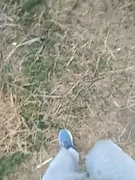 Pagelboy_089 webcam model stream image