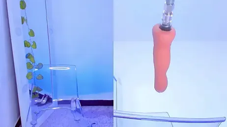 sarasmith85 webcam model stream image