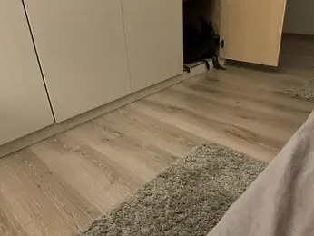 Jan_berger webcam stripchat model stream image