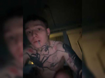 Kskspis webcam model stream image