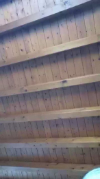 Albpar1960 webcam model stream image