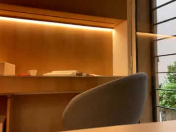 dmot2024 webcam model stream image