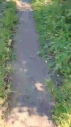 Jop666 webcam cam4 model stream image