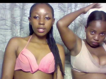 Electriceve webcam model stream image