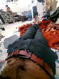 rohit16770 webcam model stream image