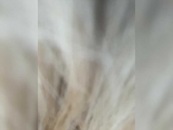 -Riviera- webcam model stream image