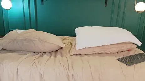 ale_cam webcam model stream image
