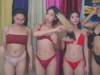 livefuckers_dual webcam model stream image