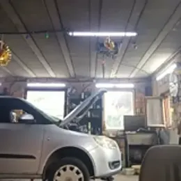 bardiauto webcam model stream image