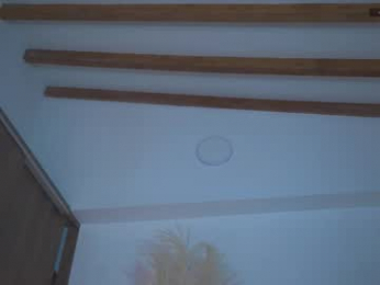 josep_davies webcam model stream image