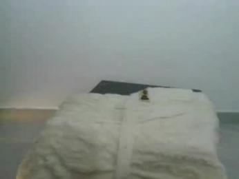 sextasy2025 webcam model stream image