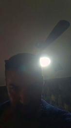 Maxo377 webcam model stream image