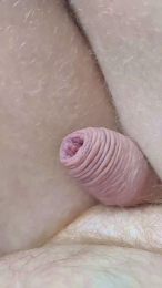 Gym2 webcam model stream image