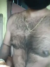SL_BEAR webcam model stream image