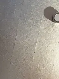 Evelin199 webcam stripchat model stream image