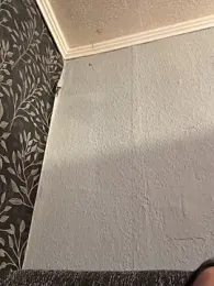 Evelin199 webcam model stream image