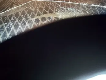 BrissPLUG8 webcam model stream image