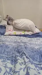 Lukemo webcam model stream image