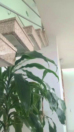 SarahRusso webcam model stream image