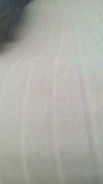 SarahRusso webcam model stream image